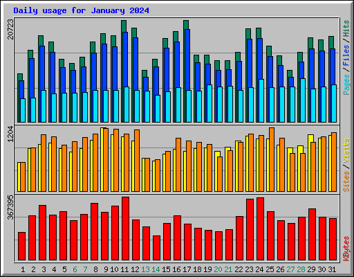 Daily usage for January 2024