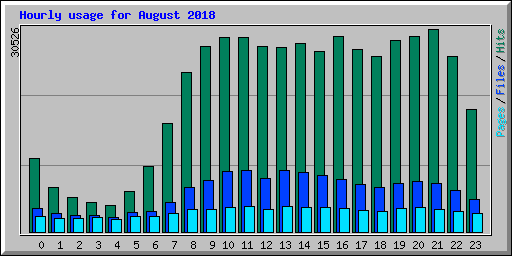 Hourly usage for August 2018