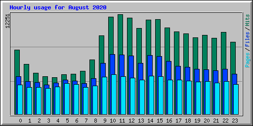 Hourly usage for August 2020