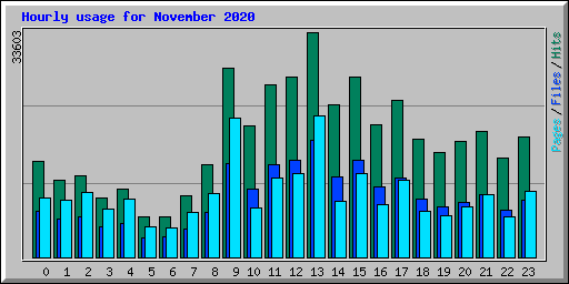 Hourly usage for November 2020