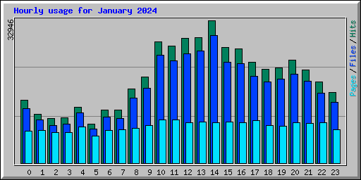 Hourly usage for January 2024