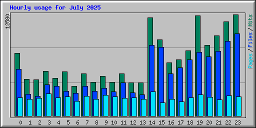 Hourly usage for July 2025