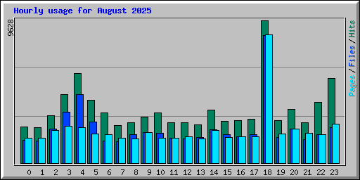 Hourly usage for August 2025