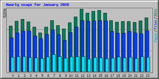 Hourly usage for January 2026