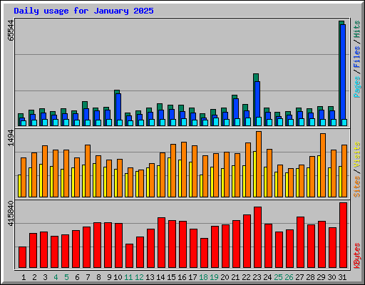 Daily usage for January 2025