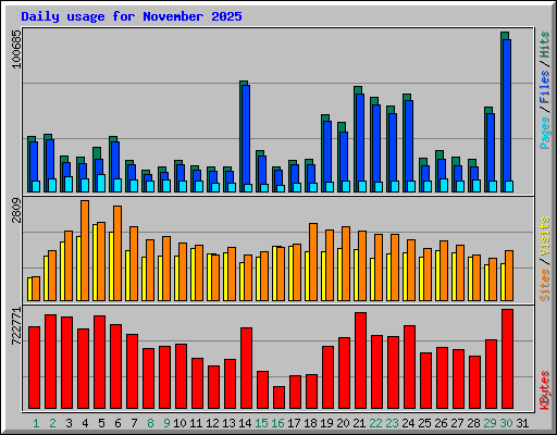 Daily usage for November 2025