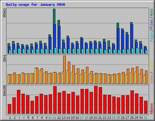 Daily usage for January 2026