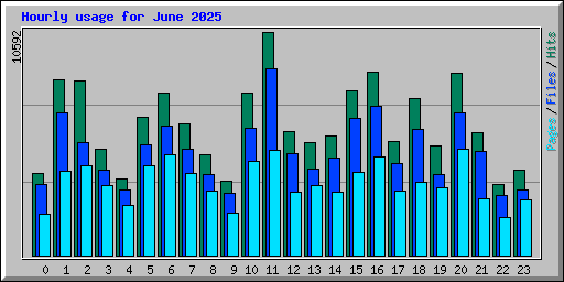 Hourly usage for June 2025