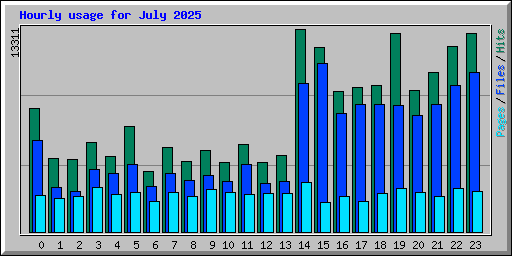 Hourly usage for July 2025